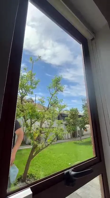 Ventana proyectante recién limpiada con vista despejada al jardín.
